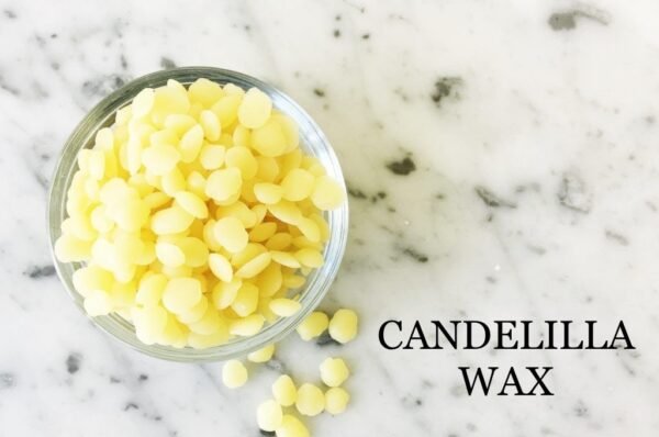 Candelilla Wax
